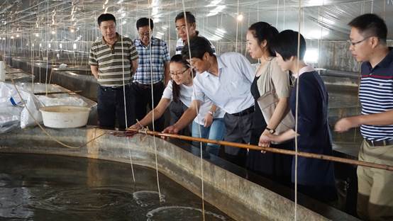 image002.jpg image002.jpg