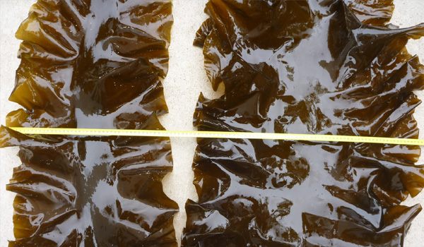 xpzxjs-19-2.jpg xpzxjs-19-2.jpg