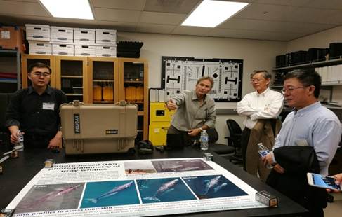 jinsuoshaituanfm4.jpg jinsuoshaituanfm4.jpg